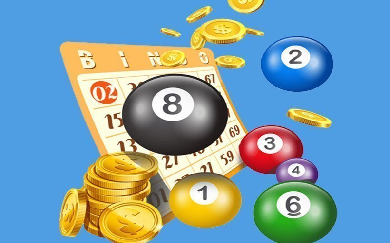 B&iacute; k&iacute;p nu&ocirc;i l&ocirc; khung cực chuẩn x&aacute;c của c&aacute;c chuy&ecirc;n gia h&agrave;ng đầu